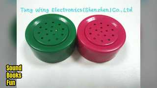 সাউন্ড মডিউল বাচ্চাদের বই শিক্ষামূলক খেলনা