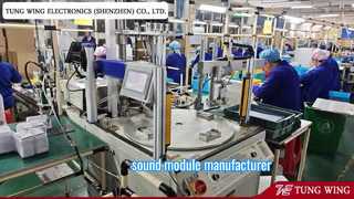 পেশাদার শব্দ বই প্রস্তুতকারক